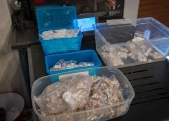 Наркогрупа от с. Герман снабдявала София с дрога чрез социалните медии