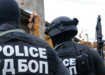 Антимафиоти разбиха престъпна група за незаконен дърводобив