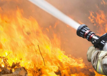 Общо 82 пожара са ликвидирани в страната през изминалото денонощие