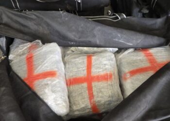 Задържаха 100 кг марихуана на ГКПП „Капитан Андреево“