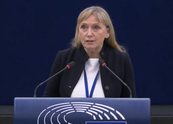 Сигнал до Европол и Интерпол: Елена Йончева алармира за политическа злоупотреба с данни от PNR системата